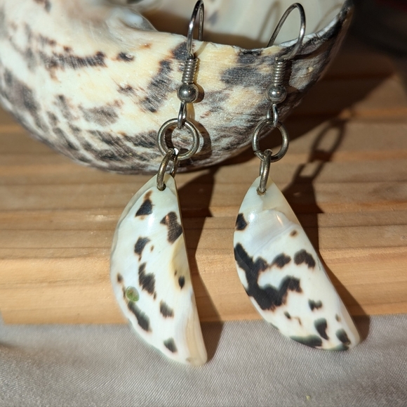 West Indian Magpie shell earrings - handmade in the Caribbean - Picture 2 of 14